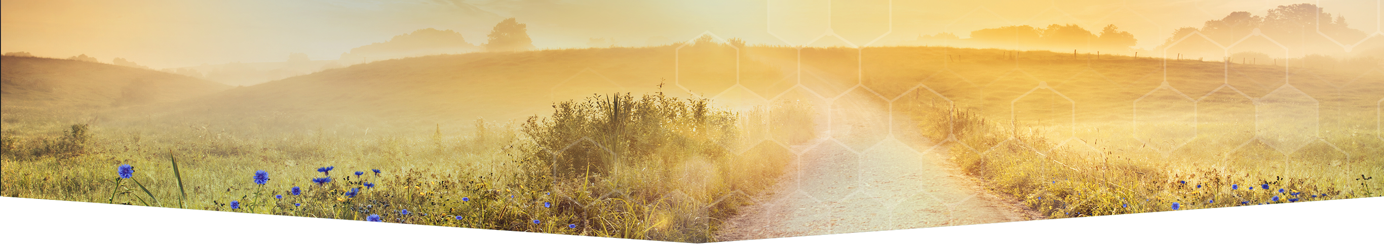 heading-Nerlynx-Neratinib--HER2-Breast-Cancer